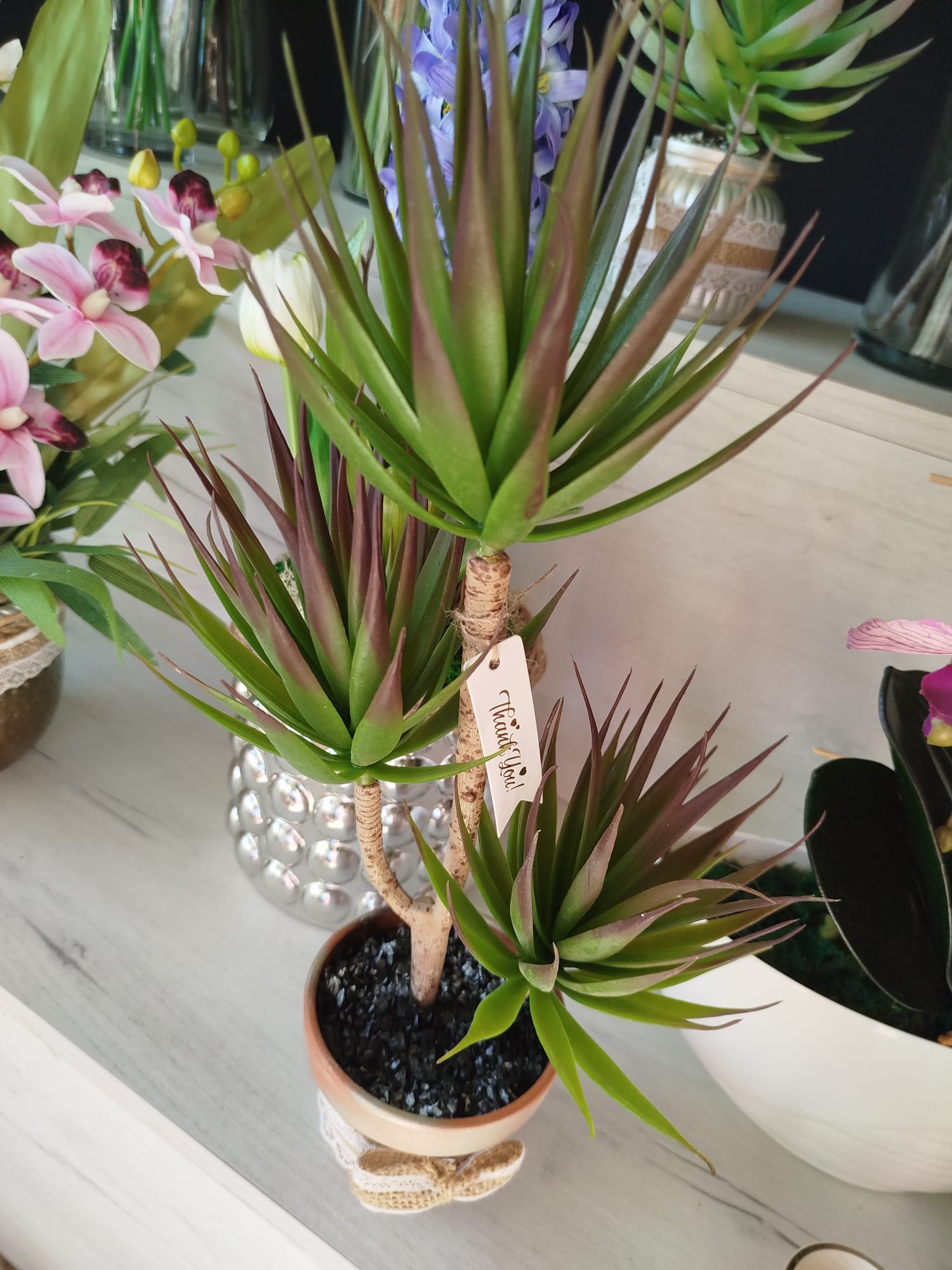 Dracena kompozycja kwiatowa  zdjęcie 1