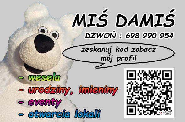 Miś Damiś - wynajem animatora zdjęcie 1